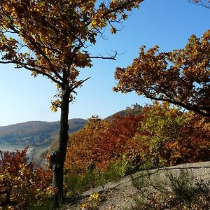 BELVEDERE - das BIO HOTEL Garni&SuiteHotel am Edersee